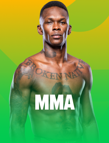 MMA (Karma Dövüş Sanatları)